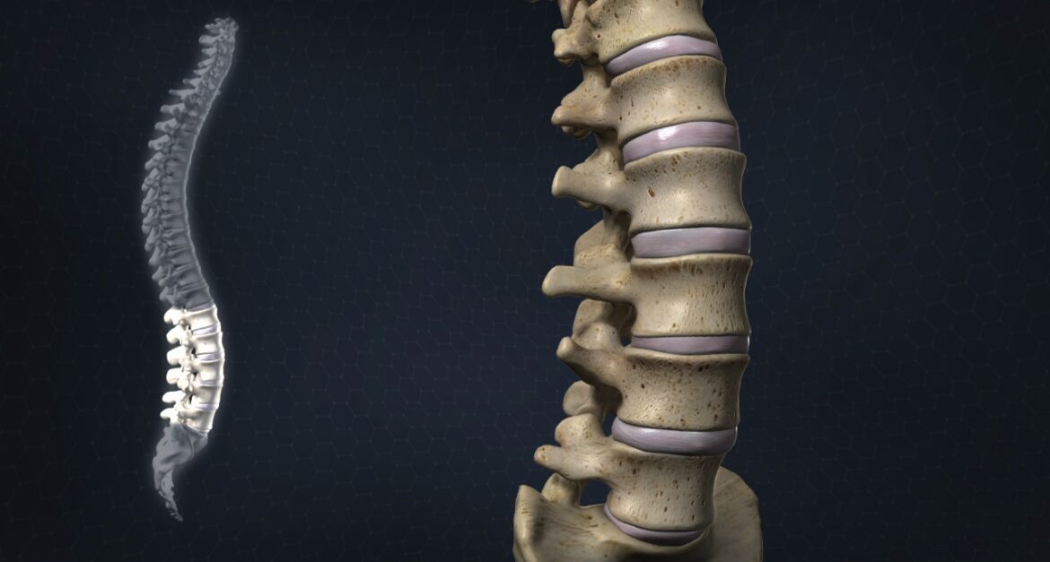 Acute Spine Injury